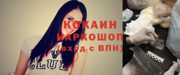 стаф Аркадак