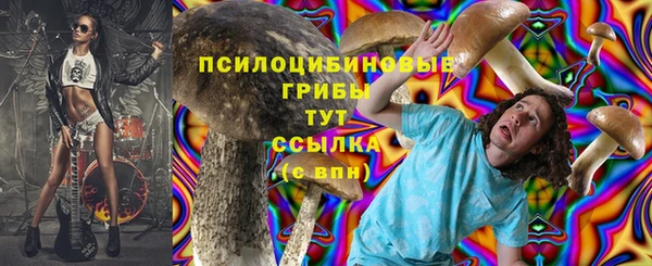 каннабис Арсеньев