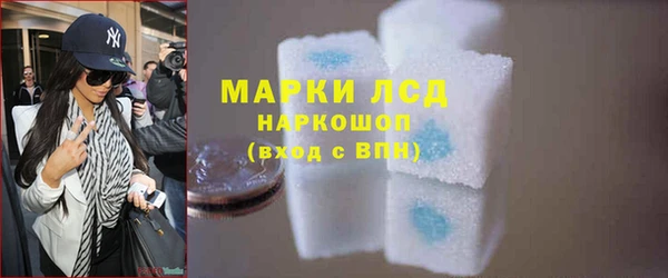 стаф Аркадак