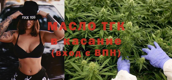стаф Аркадак