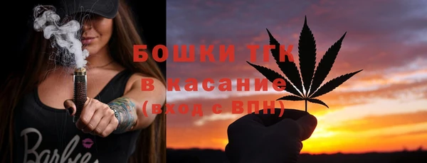 стаф Аркадак