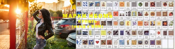 стаф Аркадак